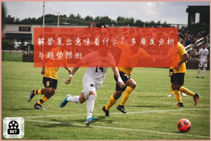解禁复出意味着什么？多角度分析与趋势预测